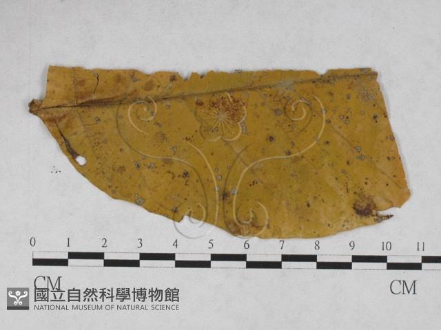 登錄號:F0027886藏品圖，第1張