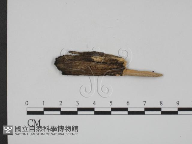 登錄號:F0003886藏品圖，第3張