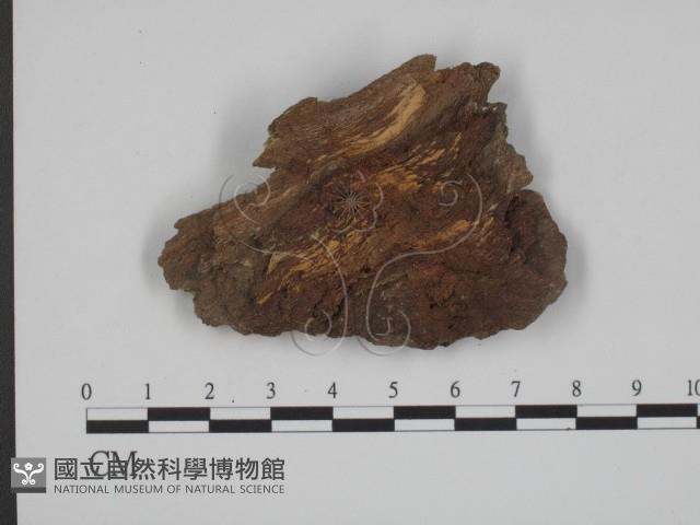 登錄號:F0001986藏品圖，第3張