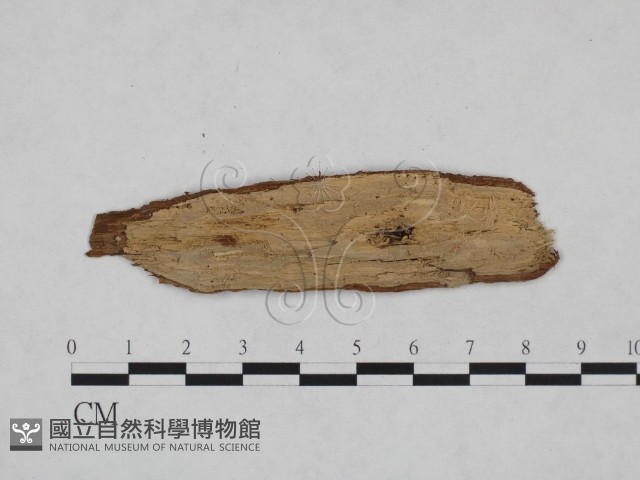 登錄號:F0024986藏品圖，第3張