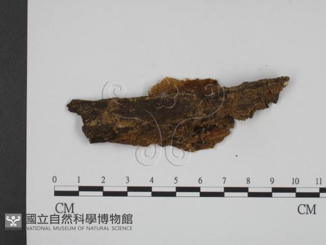 登錄號:F0018686藏品圖，第3張