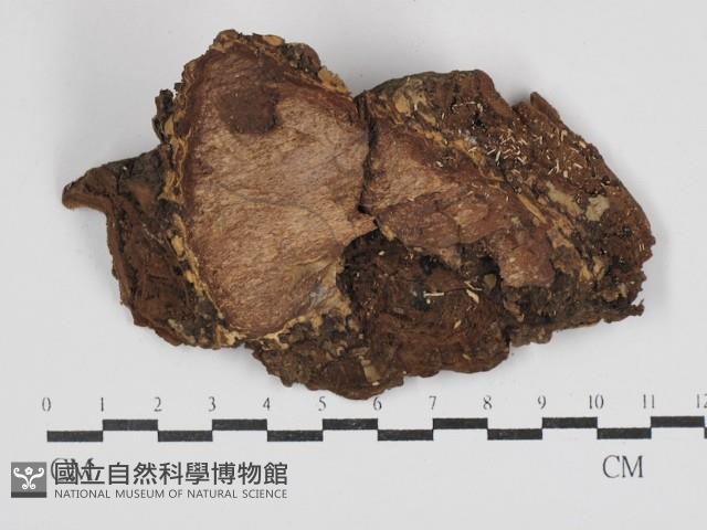 登錄號:F0030686藏品圖，第3張