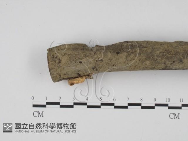 登錄號:F0007686藏品圖，第3張