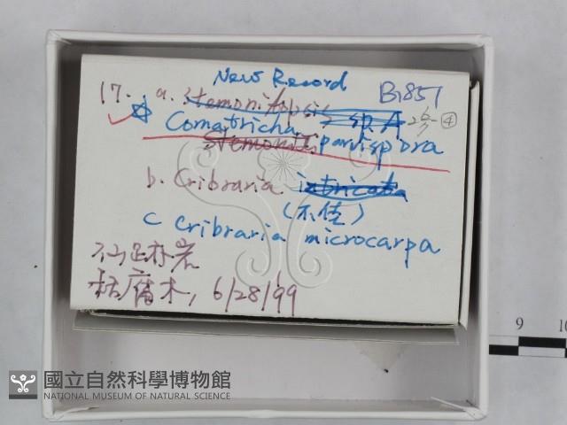 登錄號:F0018486藏品圖，第3張