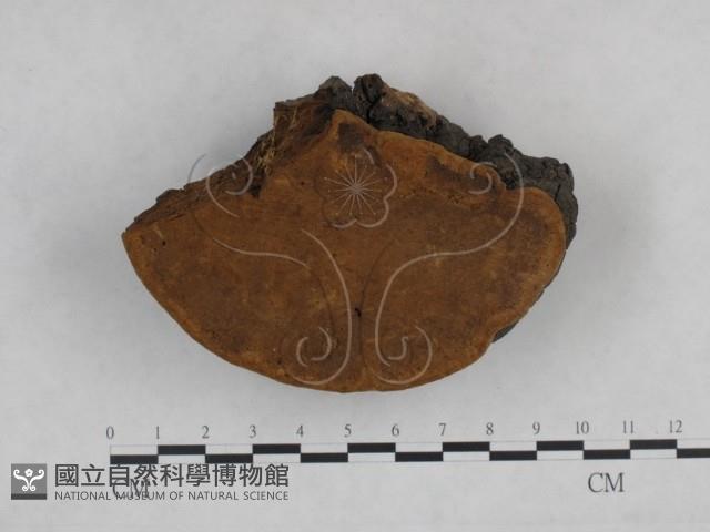 登錄號:F0024786藏品圖，第3張