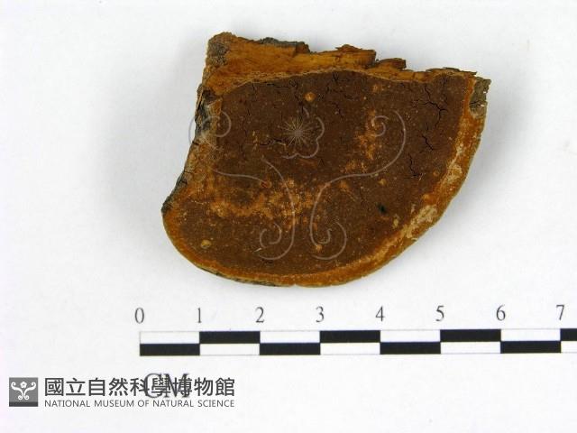登錄號:F0015786藏品圖，第1張