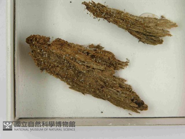 登錄號:F0021586藏品圖，第3張