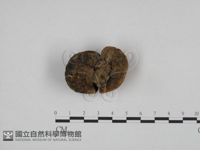 登錄號:F0024586藏品圖，第3張