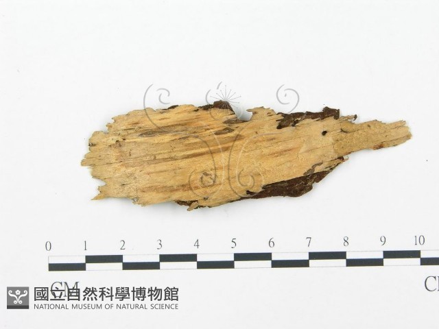 登錄號:F0004586藏品圖，第3張