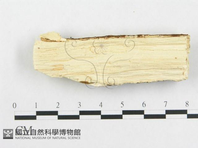 登錄號:F0000086藏品圖，第3張