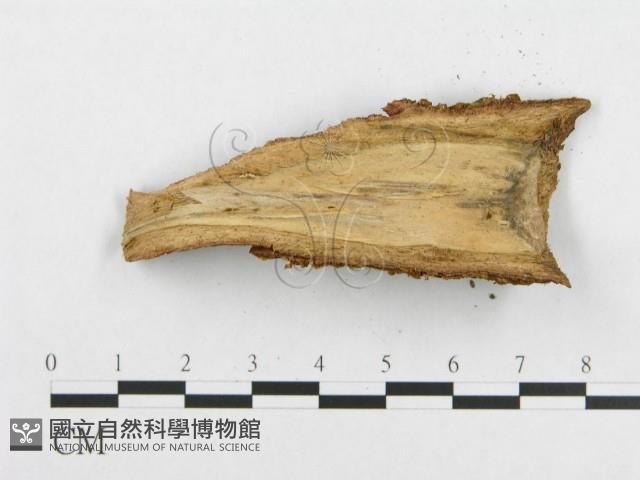 登錄號:F0002386藏品圖，第3張