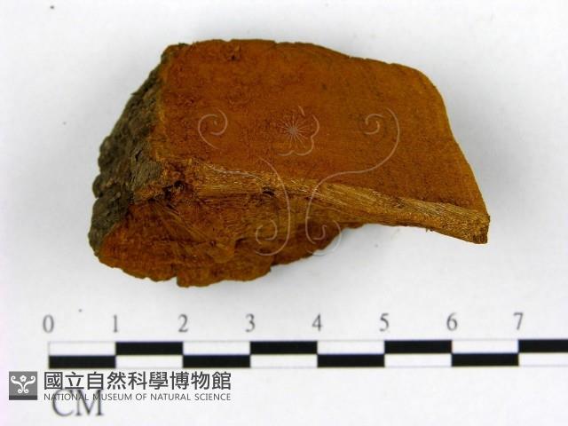 登錄號:F0006201藏品圖，第3張