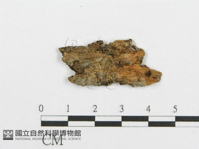 登錄號:F0004201藏品圖，第3張