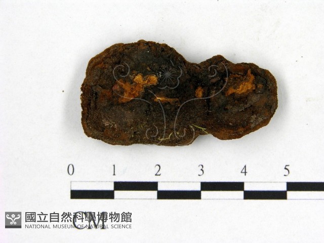 登錄號:F0007201藏品圖，第3張