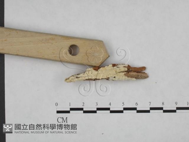 登錄號:F0015201藏品圖，第3張