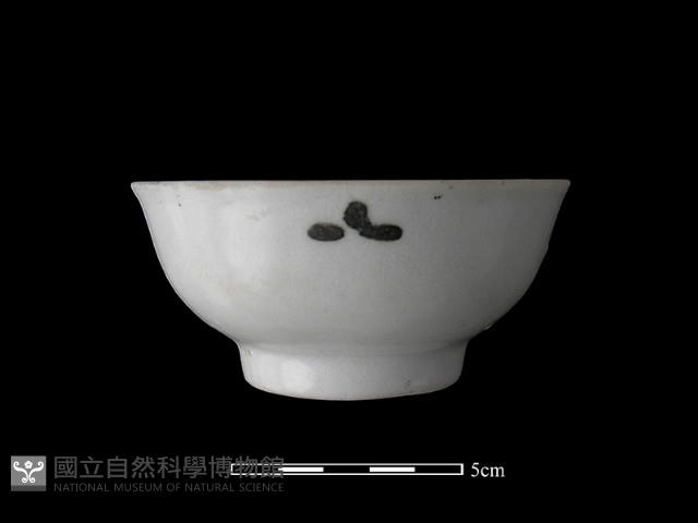 瓷杯藏品圖，第1張