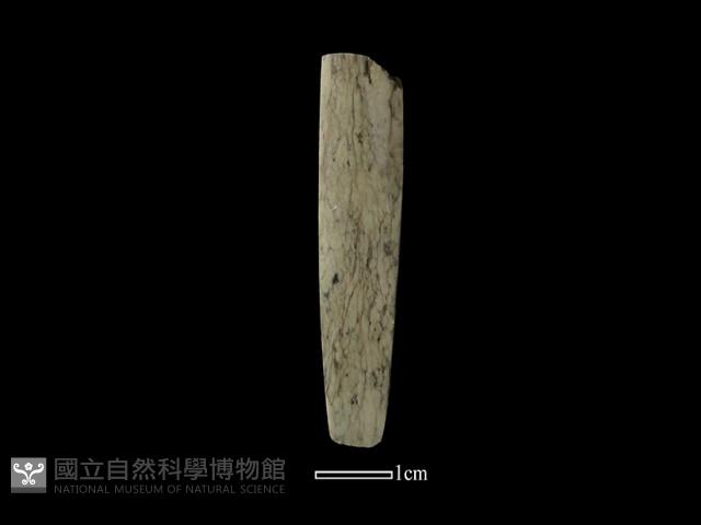 錛鑿形器藏品圖，第3張