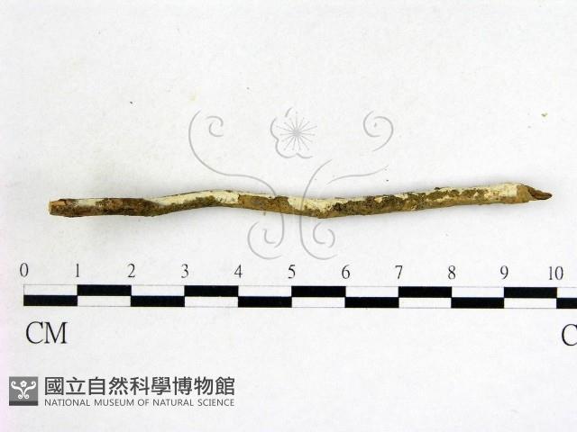 登錄號:F0004111藏品圖，第3張