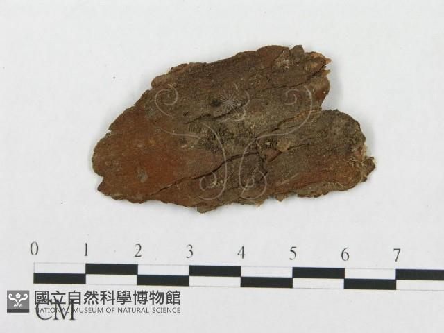 登錄號:F0007291藏品圖，第3張