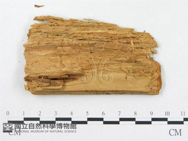 登錄號:F0000891藏品圖，第3張