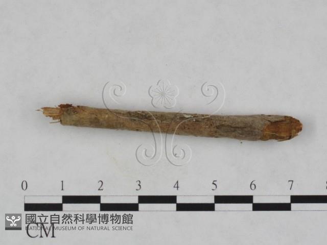 登錄號:F0007891藏品圖，第3張