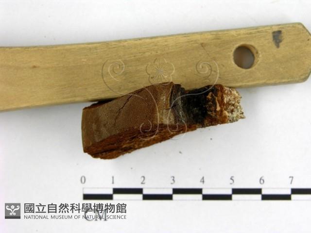 登錄號:F0005891藏品圖，第3張