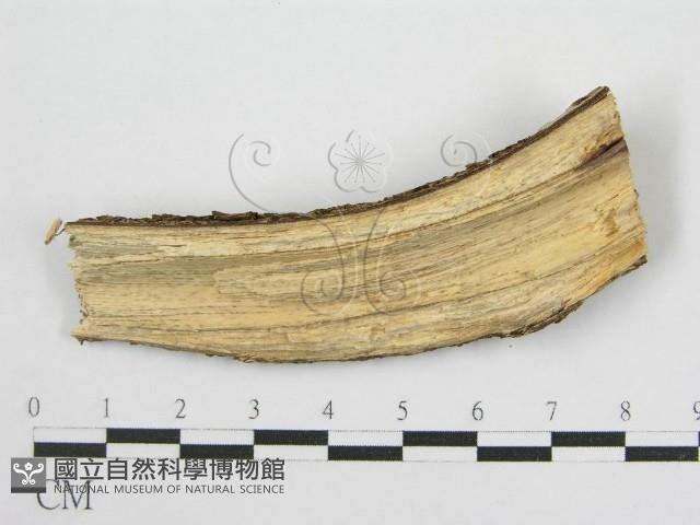 登錄號:F0011991藏品圖，第3張