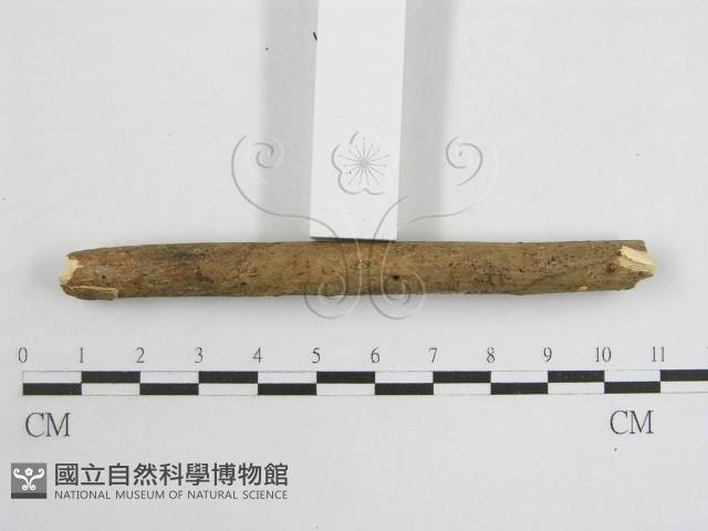 登錄號:F0010691藏品圖，第3張