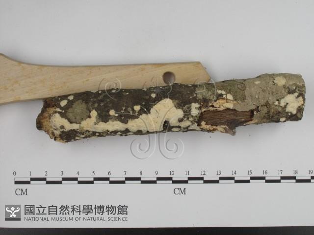 登錄號:F0015691藏品圖，第3張
