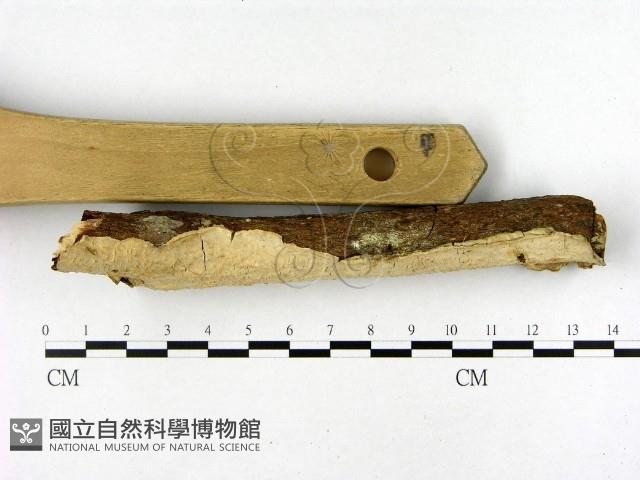 登錄號:F0020491藏品圖，第3張