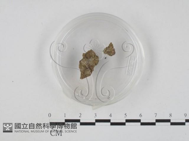 登錄號:F0002491藏品圖，第3張