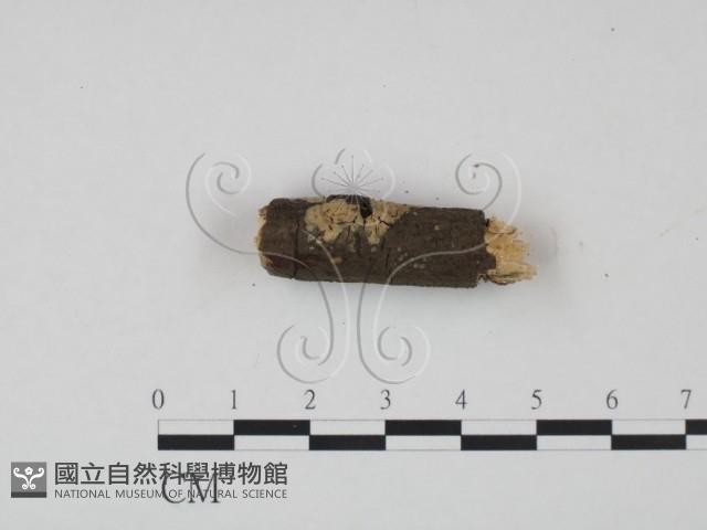 登錄號:F0002791藏品圖，第3張