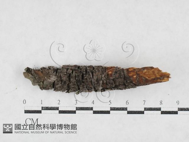登錄號:F0027191藏品圖，第3張