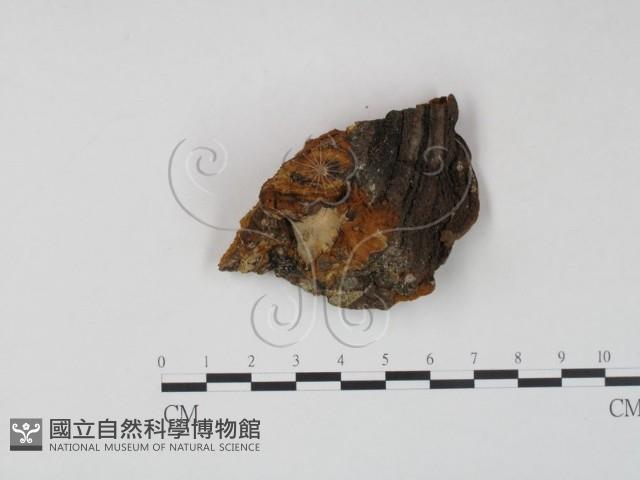 登錄號:F0008091藏品圖，第3張