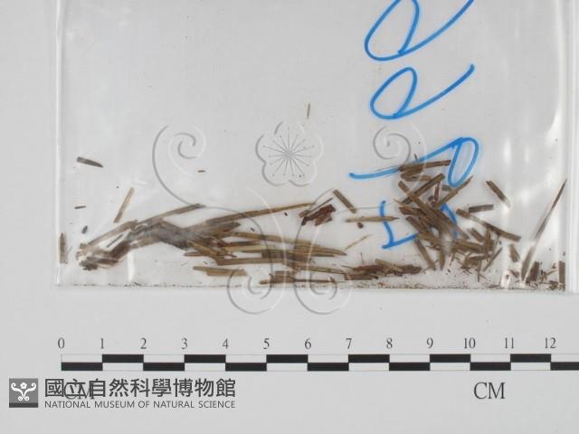 登錄號:F0011981藏品圖，第3張