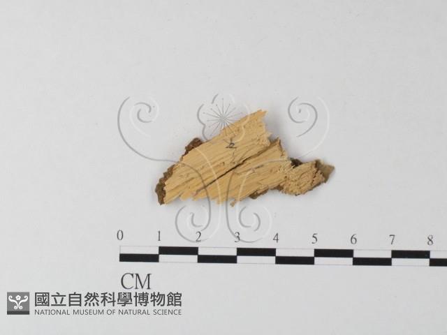 登錄號:F0023981藏品圖，第3張