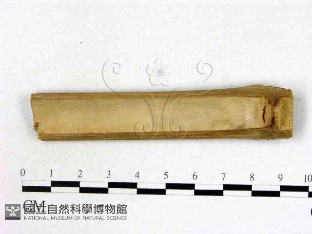 登錄號:F0004481藏品圖，第3張