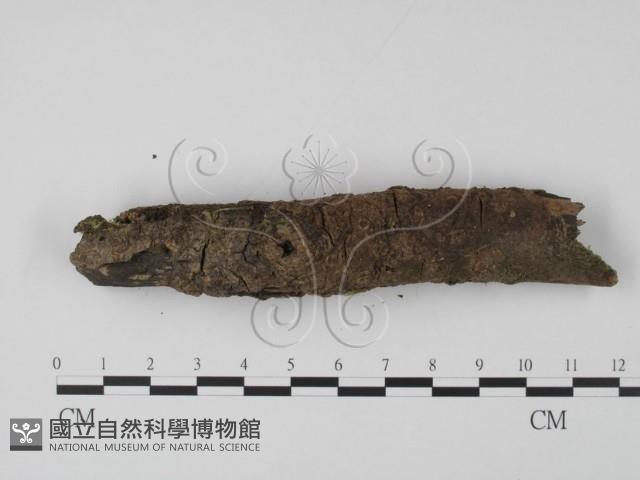 登錄號:F0001781藏品圖，第3張