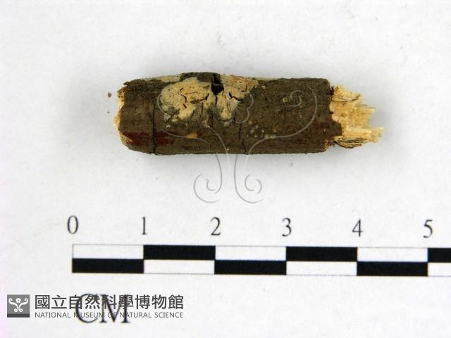 登錄號:F0002781藏品圖，第3張