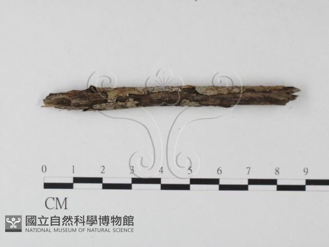 登錄號:F0008581藏品圖，第3張