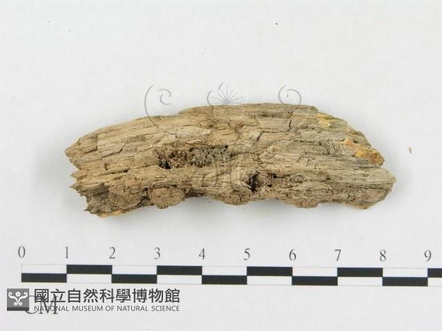 登錄號:F0006581藏品圖，第3張