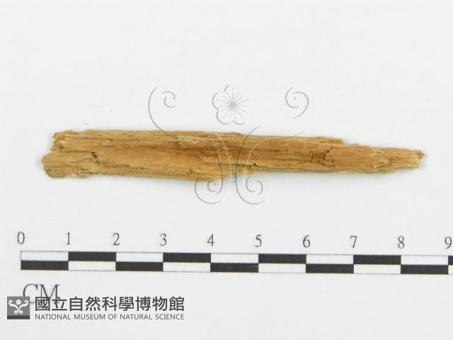 登錄號:F0016581藏品圖，第3張