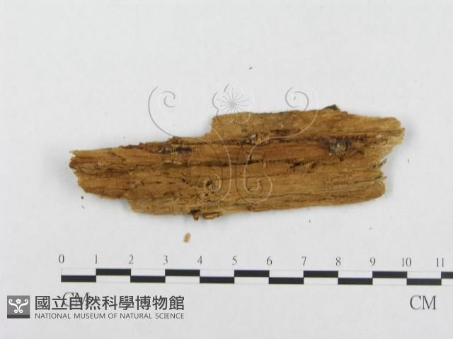 登錄號:F0014081藏品圖，第3張