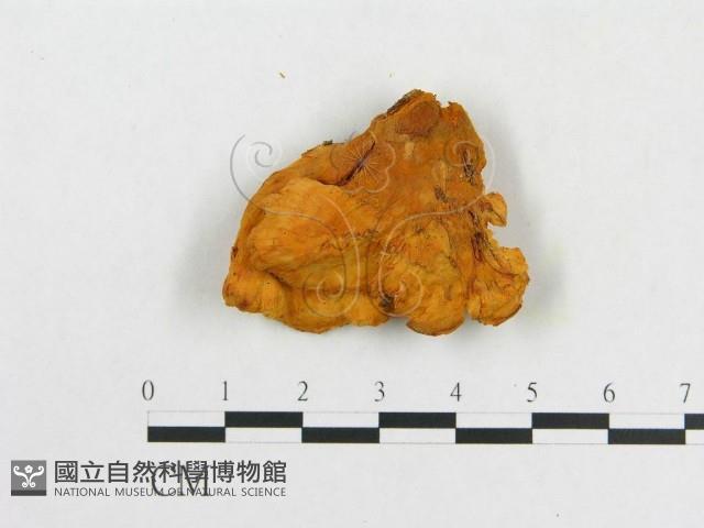 登錄號:F0007081藏品圖，第3張