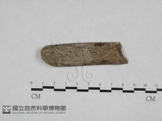登錄號:F0009081藏品圖，第3張