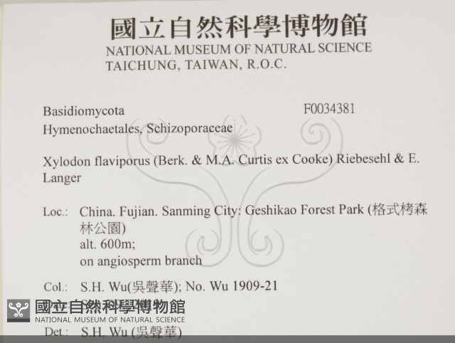 登錄號:F0034381藏品圖，第3張