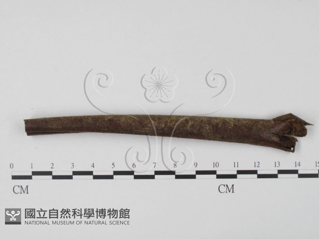 登錄號:F0005381藏品圖，第3張