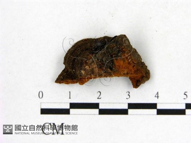 登錄號:F0007204藏品圖，第3張