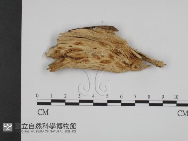 登錄號:F0015204藏品圖，第3張