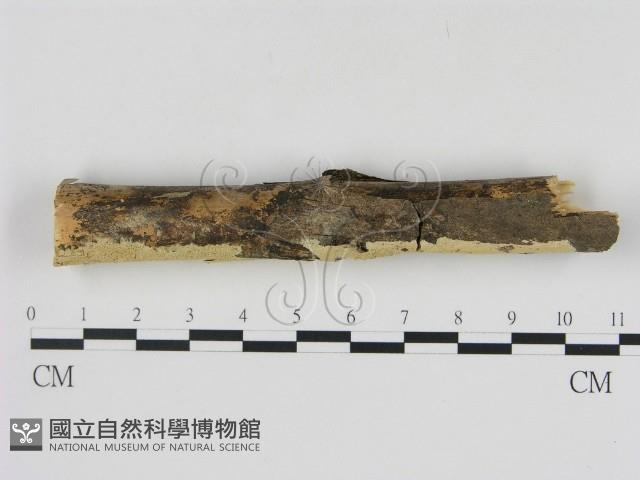 登錄號:F0000104藏品圖，第3張